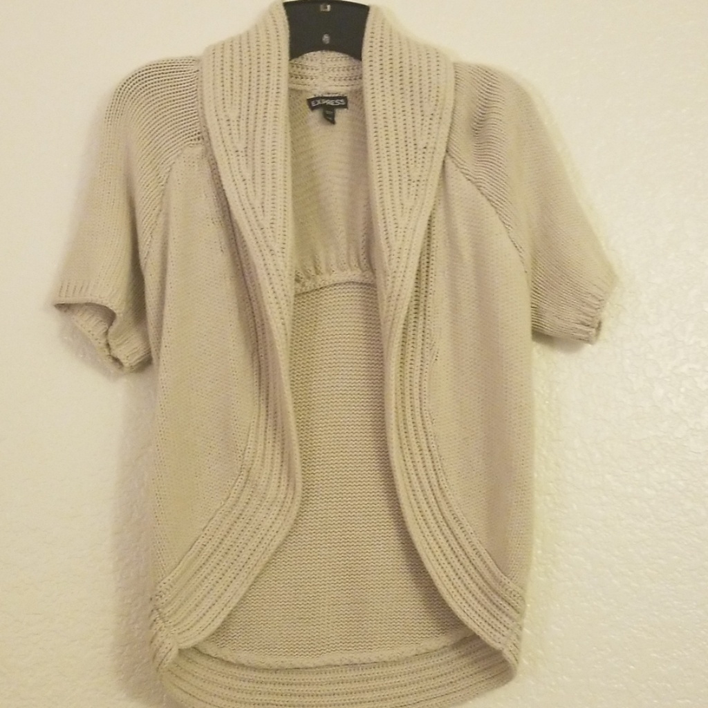 Express Collared Sweater